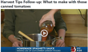 WCAX Spaghetti Sauce
