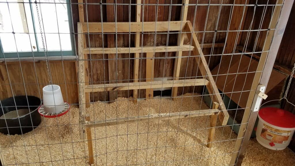 Hanging chicken feeder in a chicken coop