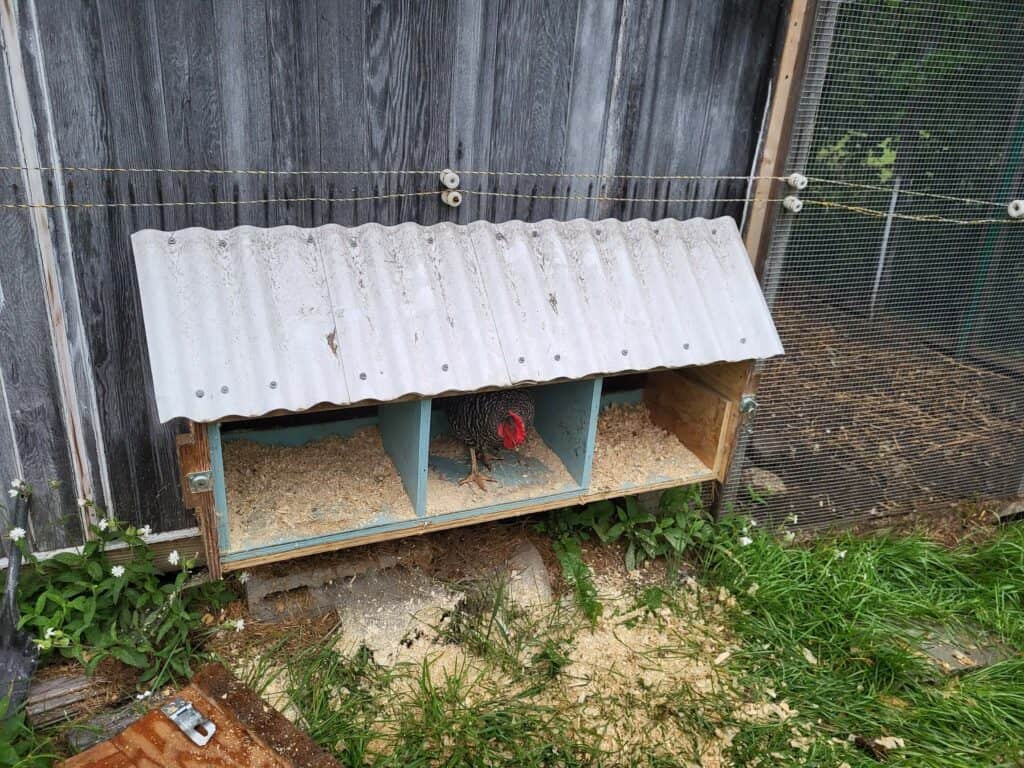 Three chicken boxes on the side of a coop