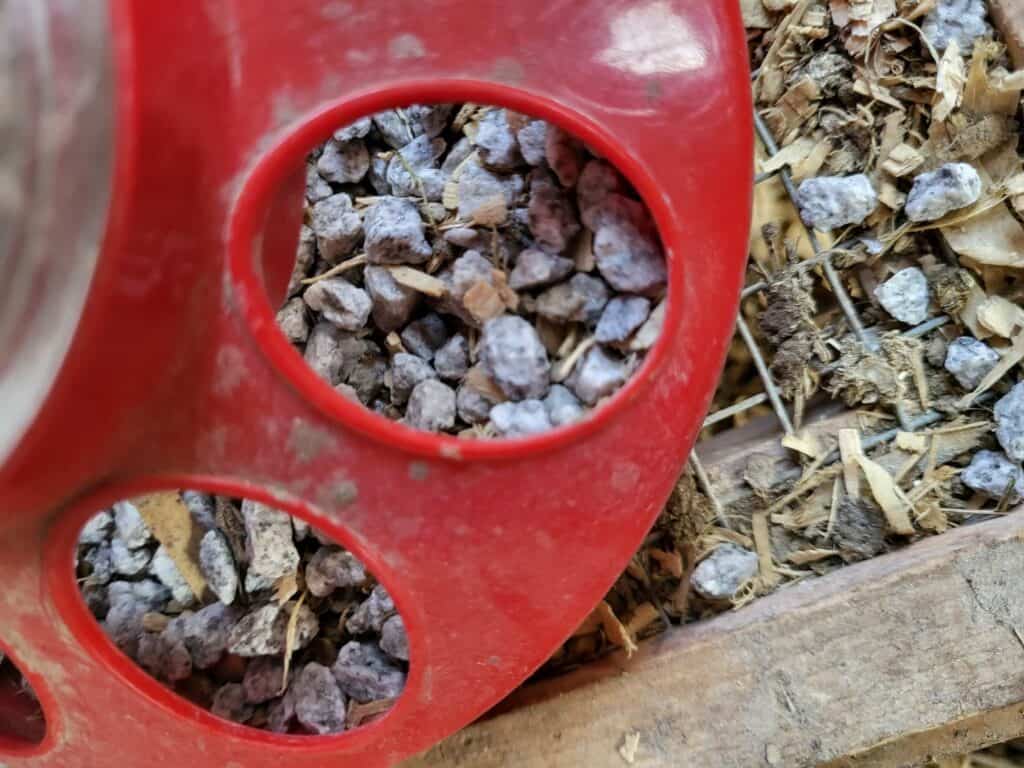 Grit stone under a chicken feeder