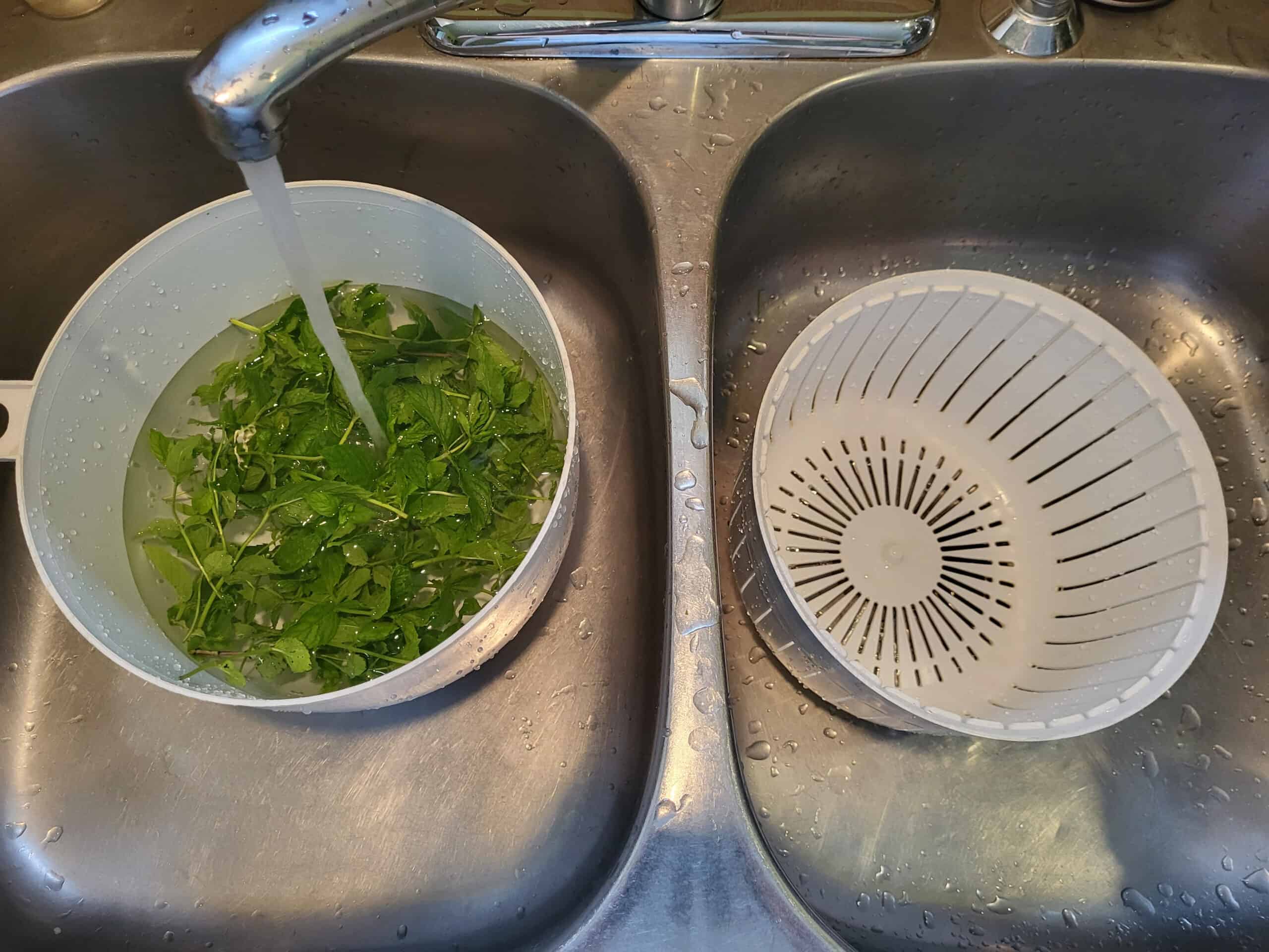 Time to clean the herbs in cool, clean tap water using plenty of water to flush away debris.